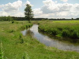 Rzeka Chodelka